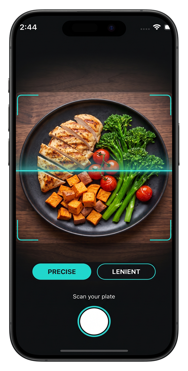 Scanning a plate with Shredo's camera